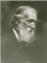 Muir by Dassonville